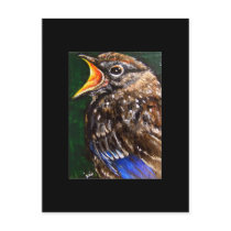 Young Voice (baby Robin) ACEO Art Trading Card Post Card