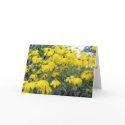 Your beauty cards