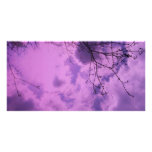 Your Carbon FootPrint photo cards
