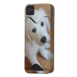 your favourite pet photo on an iphone4 case casemate cases