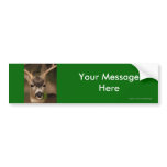 Your Message