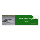 Your Message bumper stickers