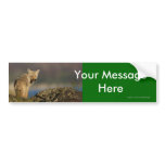 Your Message