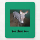 Your Name Here Donkey