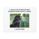 Your Photo! Best Friend American Eskimo Dog Mix postcards