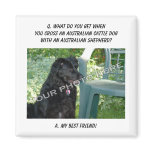 Your Photo! Best Friend Australian Cattle Dog Mix magnets