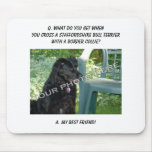 Your Photo! Friend Staffordshire Bull Terrier Mix Mouse Pads