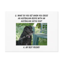 Your Photo Here! Best Friend Australian Kelpie Mix Post Cards