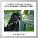 Your Photo Here! Best Friend Belgian Malinois Mix posters