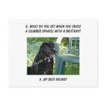 Your Photo Here! Best Friend Clumber Spaniel Mix postcards