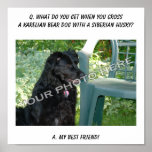 Your Photo Here! Best Friend Karelian Bear Dog Mix Poster