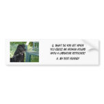 Your Photo Here! My Best Friend Afghan Hound Mix bumper stickers