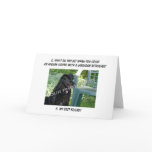 Your Photo Here! My Best Friend Afghan Hound Mix cards
