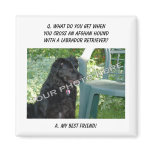 Your Photo Here! My Best Friend Afghan Hound Mix magnets