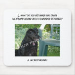 Your Photo Here! My Best Friend Afghan Hound Mix mousepads