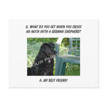 Your Photo Here! My Best Friend Akita Mix Postcard