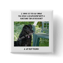 Your Photo Here! My Best Friend Bloodhound Mix Button
