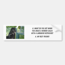 Your Photo Here! My Best Friend Border Collie Mix Bumper Sticker