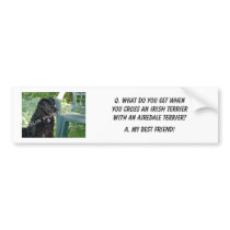 Your Photo Here! My Best Friend Irish Terrier Mix Bumper Sticker