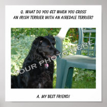 Your Photo Here! My Best Friend Irish Terrier Mix Posters