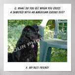 Your Photo Here! My Best Friend Samoyed Mix posters