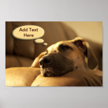 Your Text Dane Puppy Posters