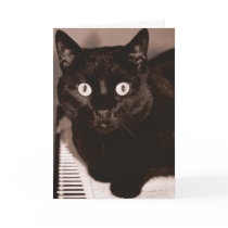 You're How Old? Greeting Card