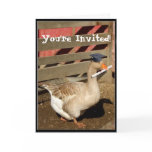 You're Invited Goose Graduation invitation cards