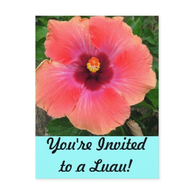 You're Invited to a Luau! Invitation Post Card by Squidwoman