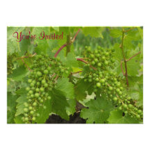 You're Invited - Vineyard