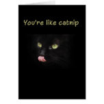 You're like catnip greeting cards