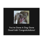 You've Done A Dog Gone Good Job! postcards