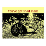 You've got snail mail! postcards