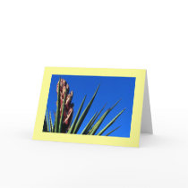 "Yucca #1"