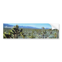 Yucca Forest Bumper Stickers