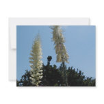 yucca invitations