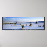 Yucca Panorama Poster