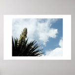 Yucca posters