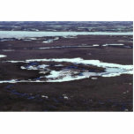 Yukon Delta Cut Outs