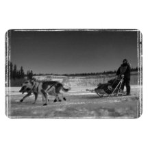 Yukon Quest Close-Up; No Text Rectangular Magnets