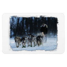 Yukon Quest Dogsled Team Vinyl Magnet