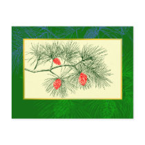 Yule Pine Branch Vintage Art Post Card