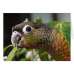yum greeting card