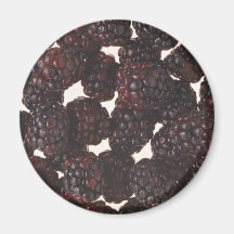 Yummy Blackberries Magnet