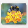 Yummy BumbleBee Mousepad