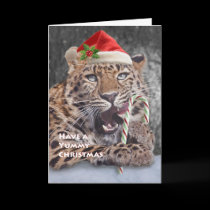 Yummy Christmas Card