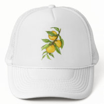 Yuzu Collection Hat