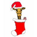 ZA- Giraffe in a Stocking Shirt