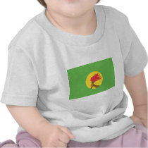 Zaire Flag Tees