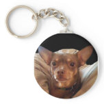 Zak Key Chains